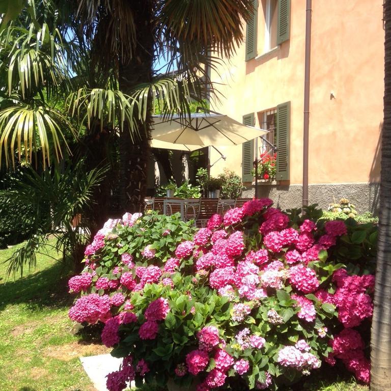 Antico Glicine B&B Maslianico Exteriér fotografie