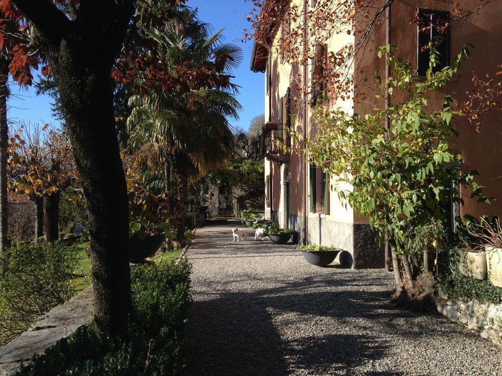 Antico Glicine B&B Maslianico Exteriér fotografie